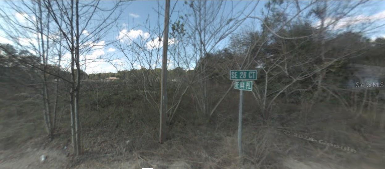 UNDETERMINED, SUMMERFIELD, FL, 34491