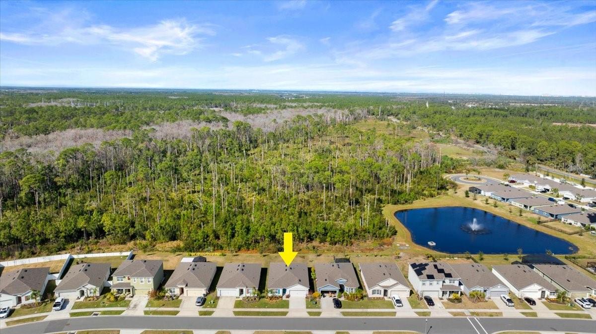 3257 CARPENTARIA DR, NEW SMYRNA BEACH, FL, 32168
