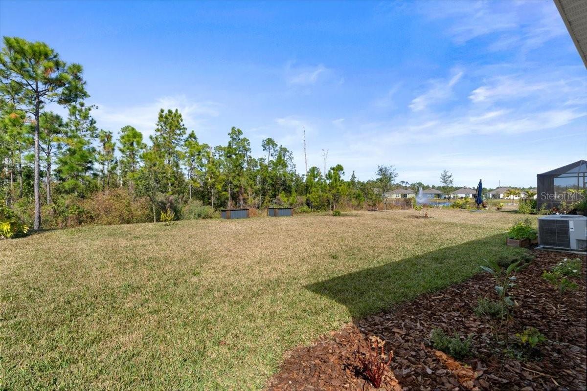 3257 CARPENTARIA DR, NEW SMYRNA BEACH, FL, 32168