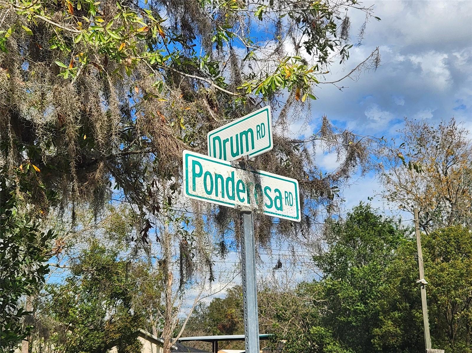 35204 PONDEROSA RD, ZEPHYRHILLS, FL, 33541