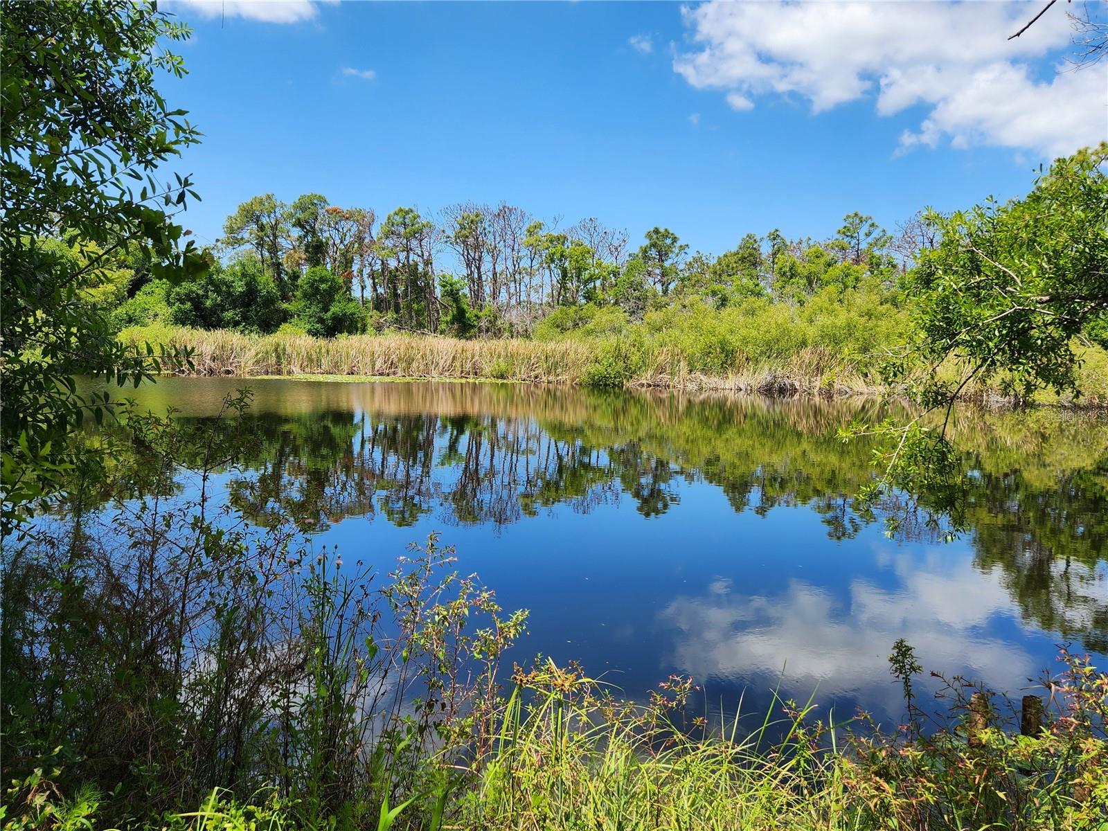 1136 DAVIS LN, ENGLEWOOD, FL, 34224