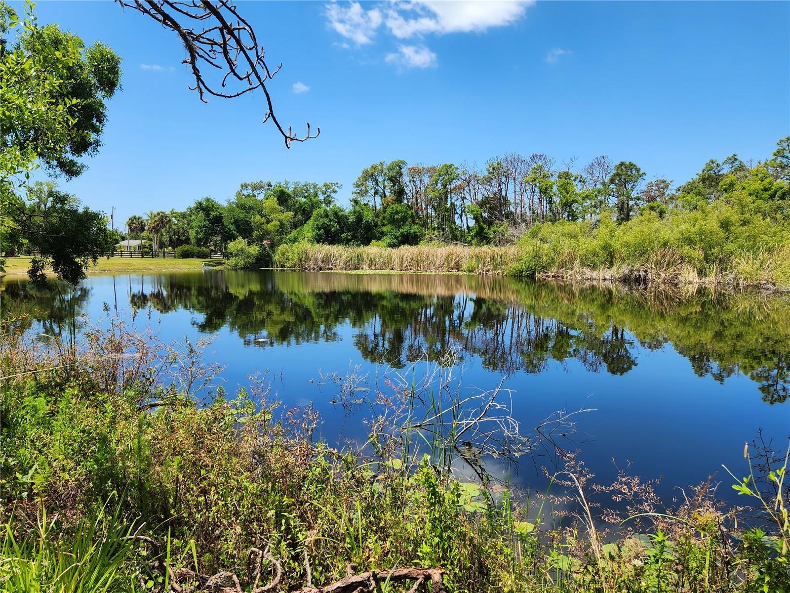 1136 DAVIS LN, ENGLEWOOD, FL, 34224