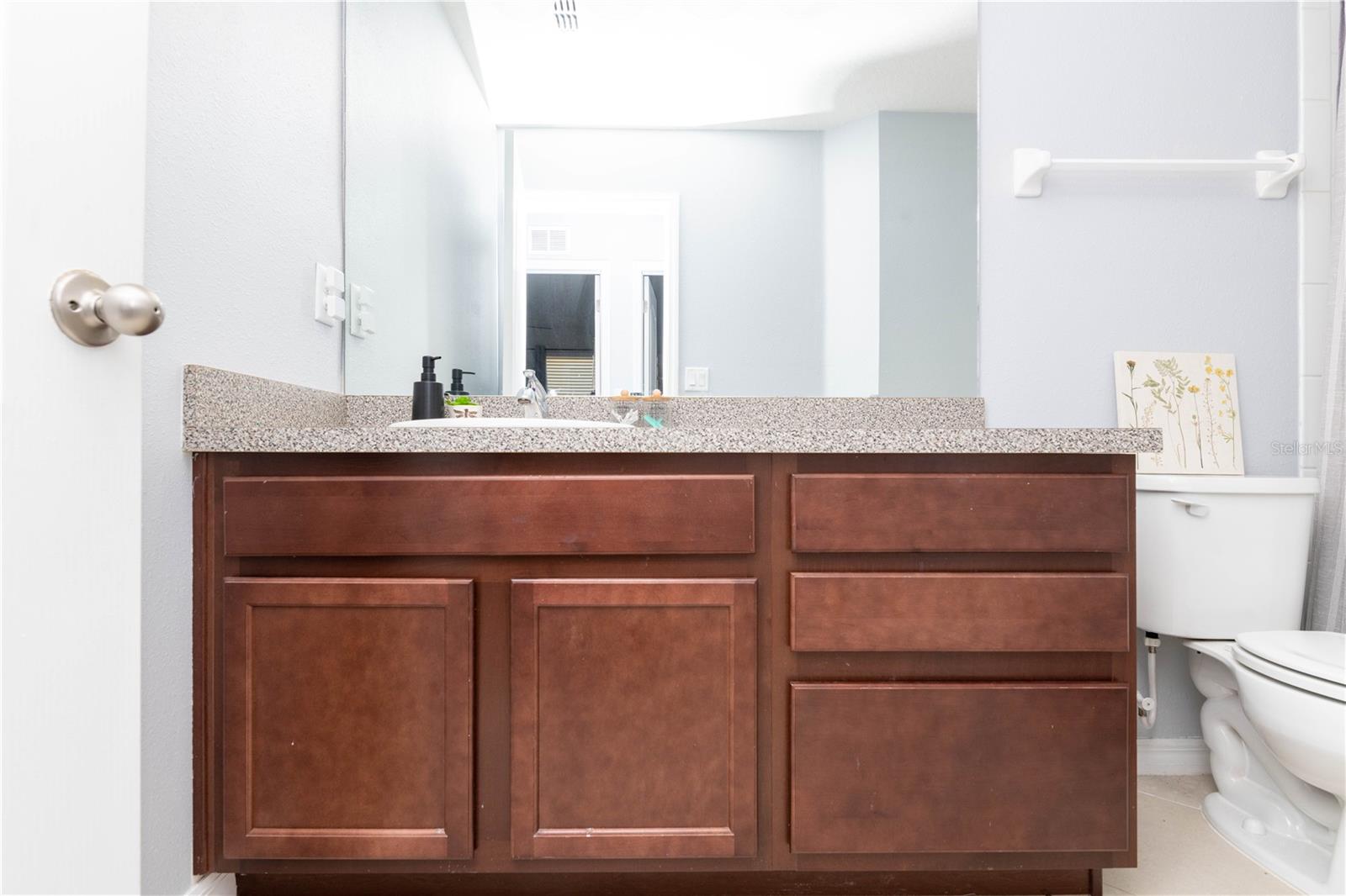 11301 HUDSON HILLS LN, RIVERVIEW, FL, 33579