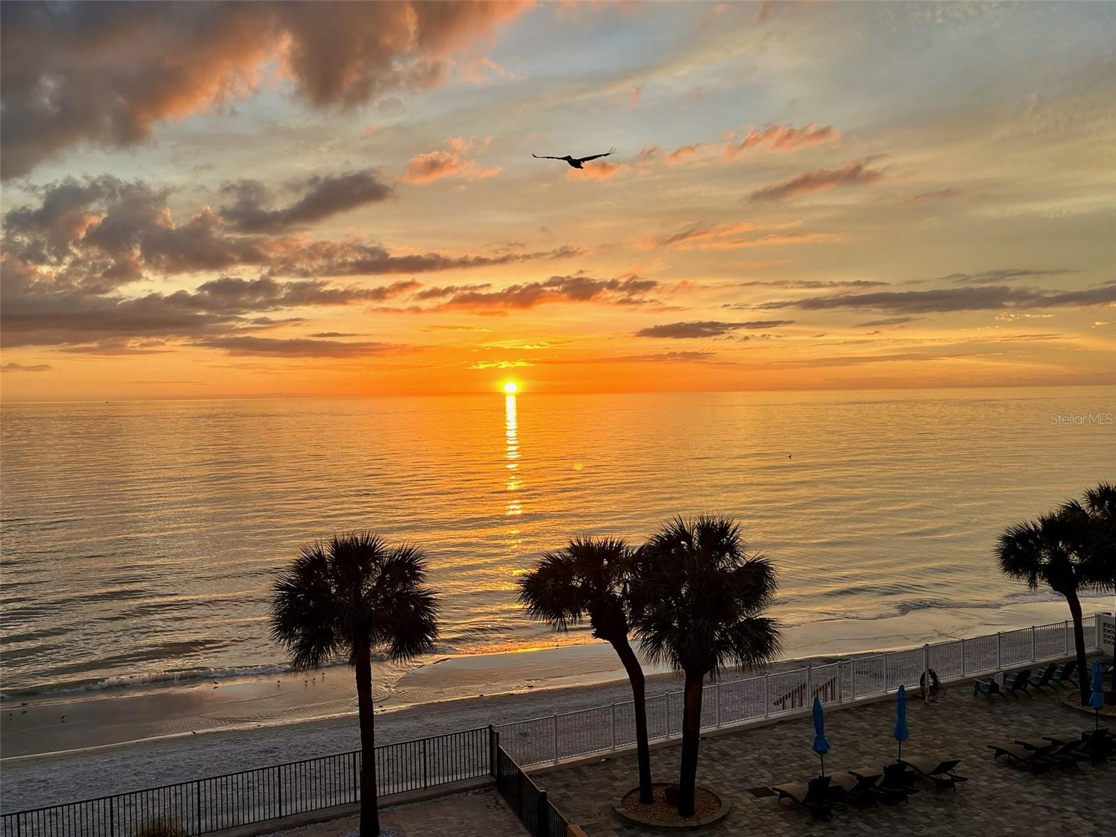 16330 GULF BLVD #306, REDINGTON BEACH, FL, 33708