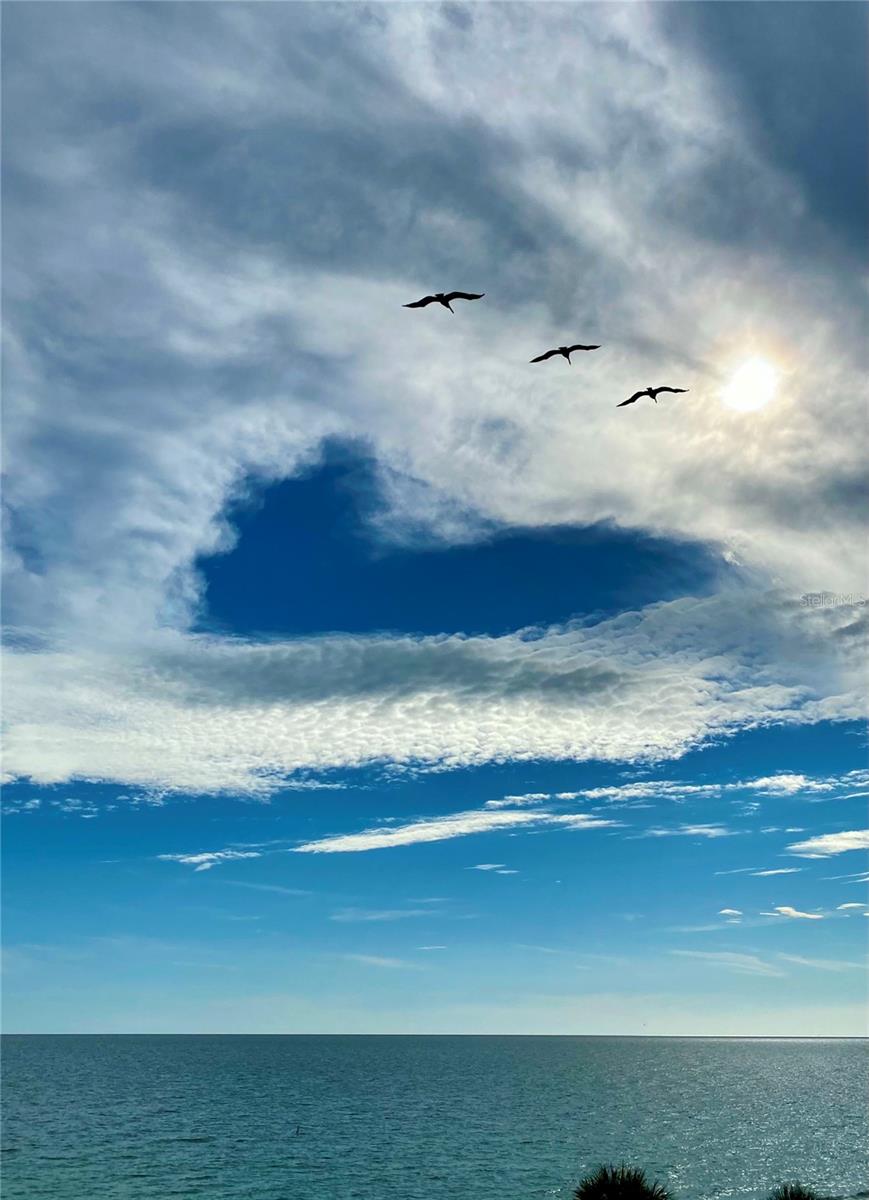 16330 GULF BLVD #306, REDINGTON BEACH, FL, 33708