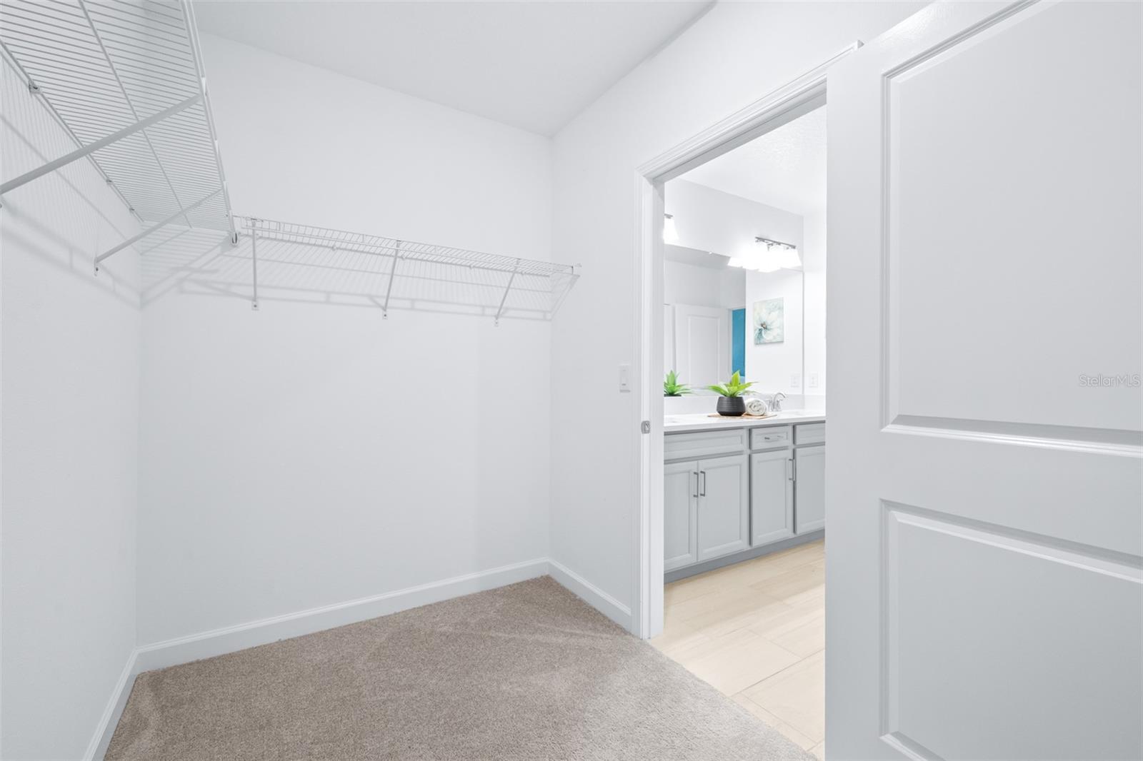 31349 CABANA RYE AVE, SAN ANTONIO, FL, 33576