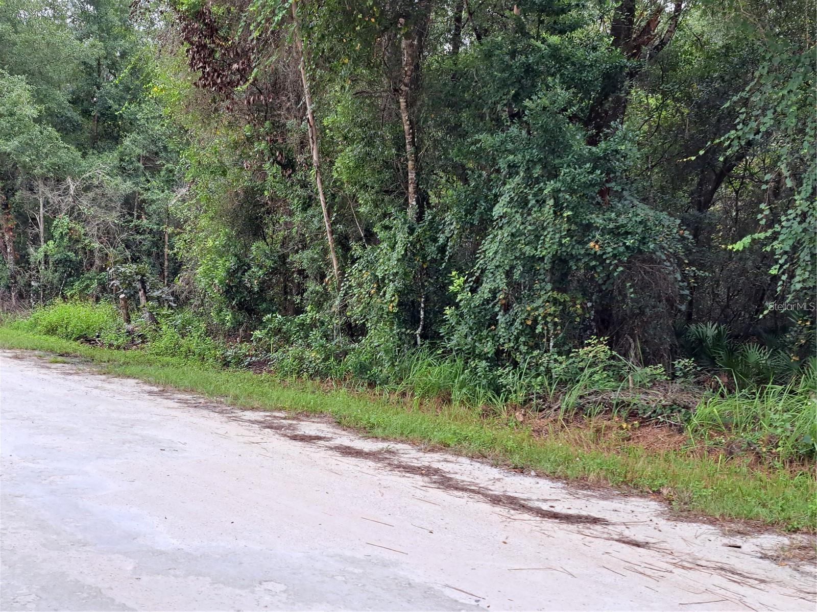 33124 EASTER DR, WEBSTER, FL, 33597