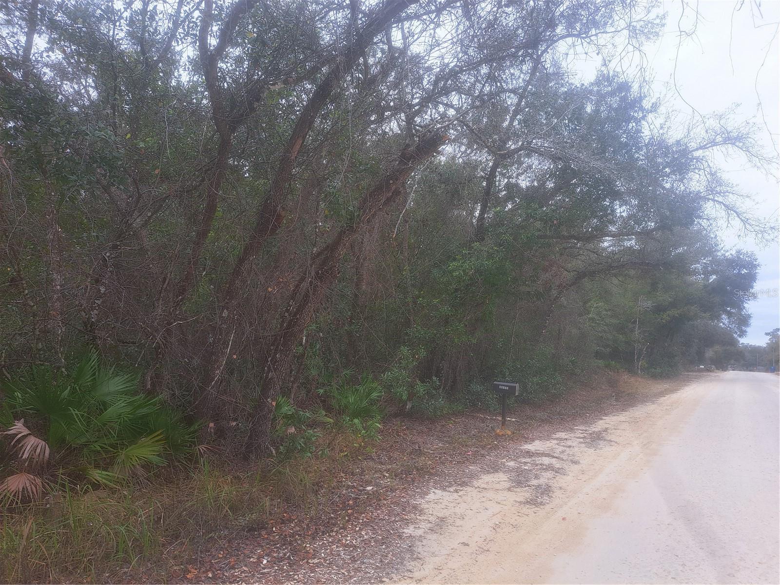 33124 EASTER DR, WEBSTER, FL, 33597