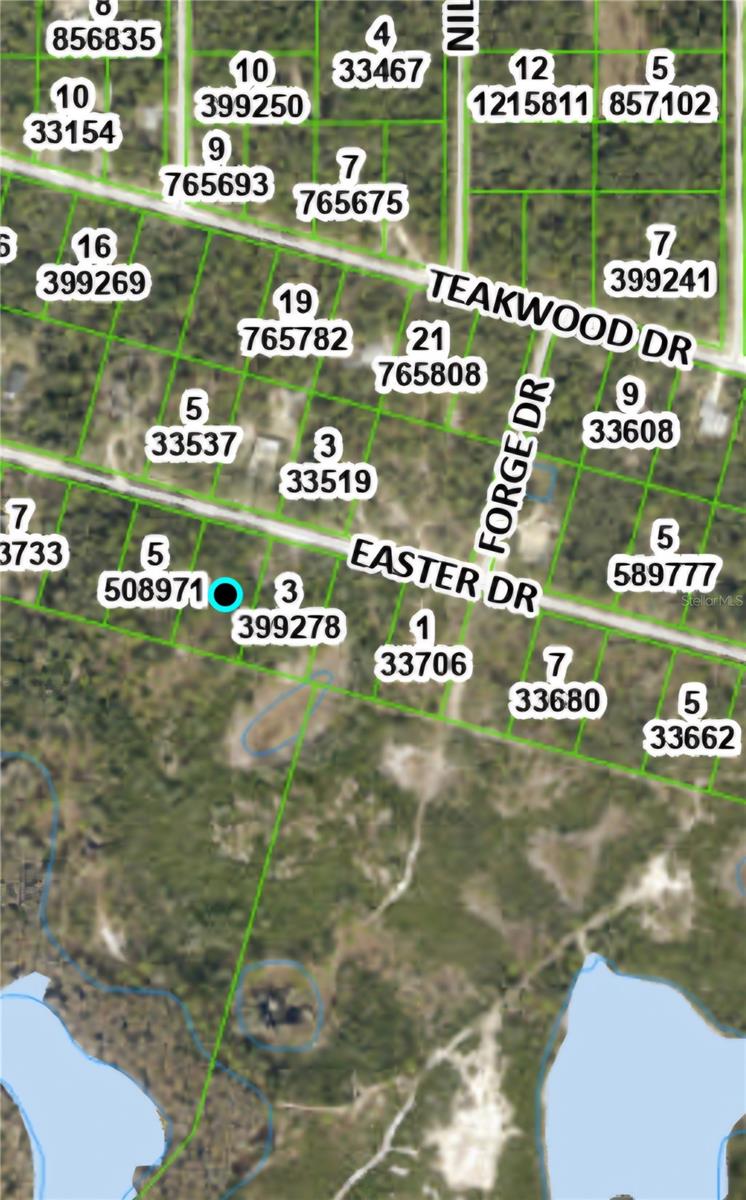 33124 EASTER DR, WEBSTER, FL, 33597
