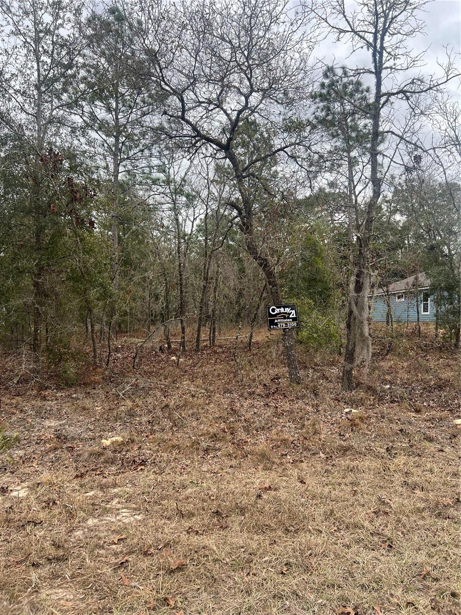 TBD Lot 1 NE 154TH AVENUE, WILLISTON, FL, 32696