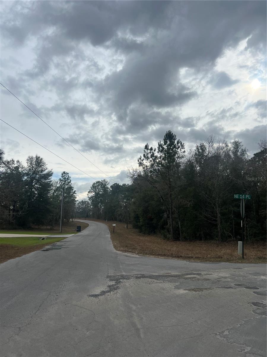 TBD Lot 1 NE 154TH AVENUE, WILLISTON, FL, 32696