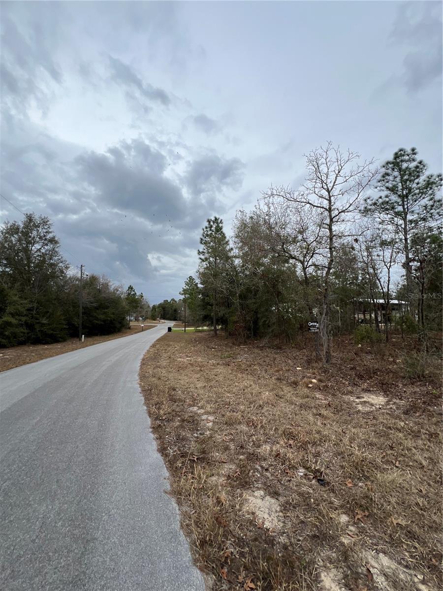 TBD Lot 1 NE 154TH AVENUE, WILLISTON, FL, 32696