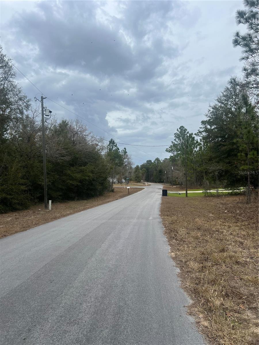 TBD Lot 1 NE 154TH AVENUE, WILLISTON, FL, 32696