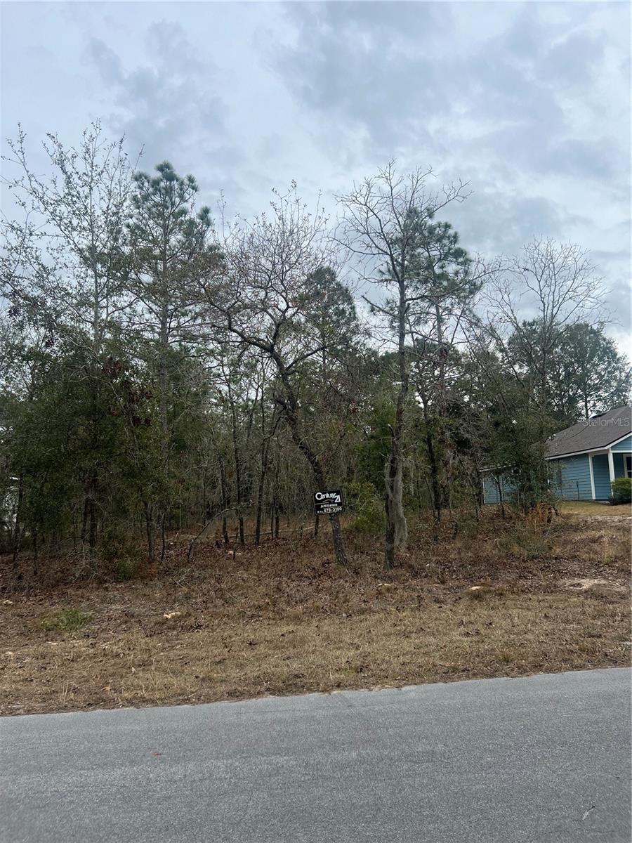 TBD Lot 1 NE 154TH AVENUE, WILLISTON, FL, 32696