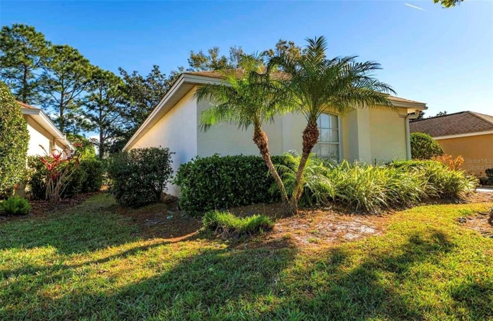 7006 ARCADIAN CT, MOUNT DORA, FL, 32757