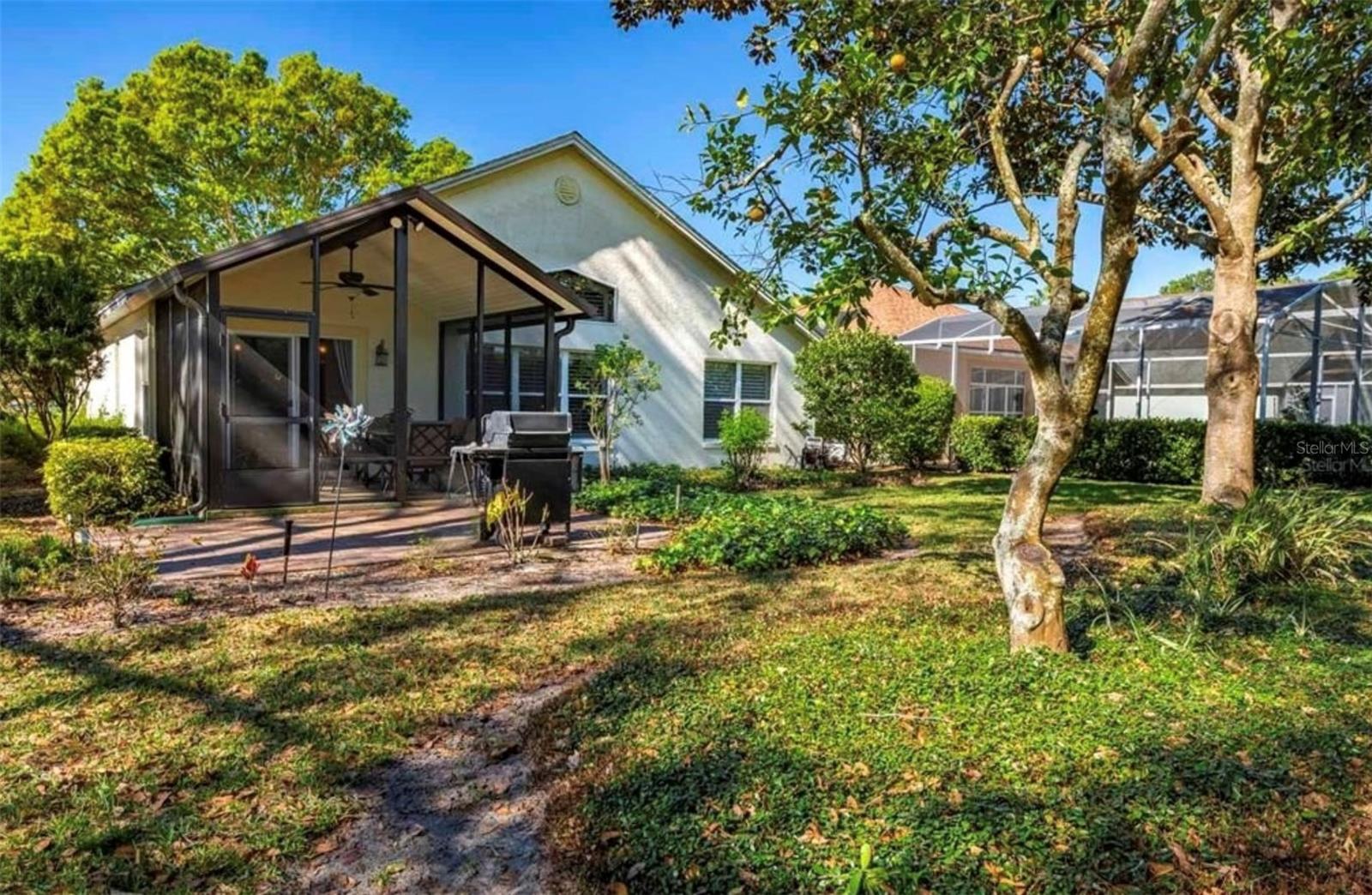 7006 ARCADIAN CT, MOUNT DORA, FL, 32757