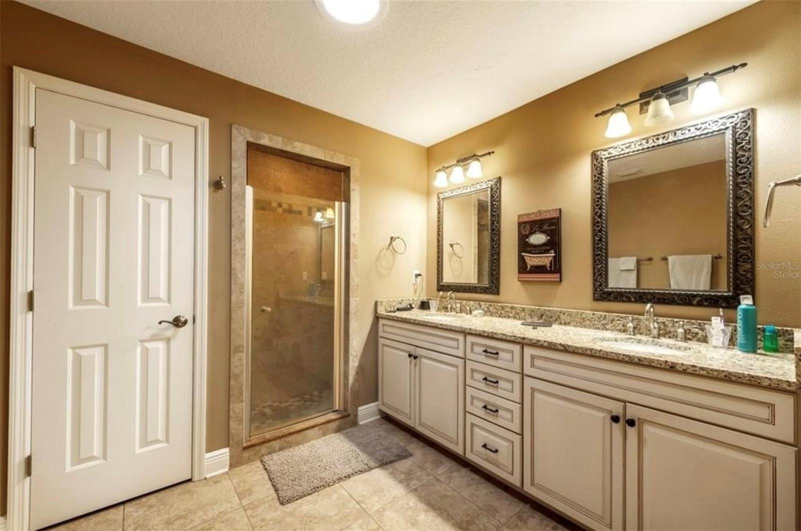 7006 ARCADIAN CT, MOUNT DORA, FL, 32757