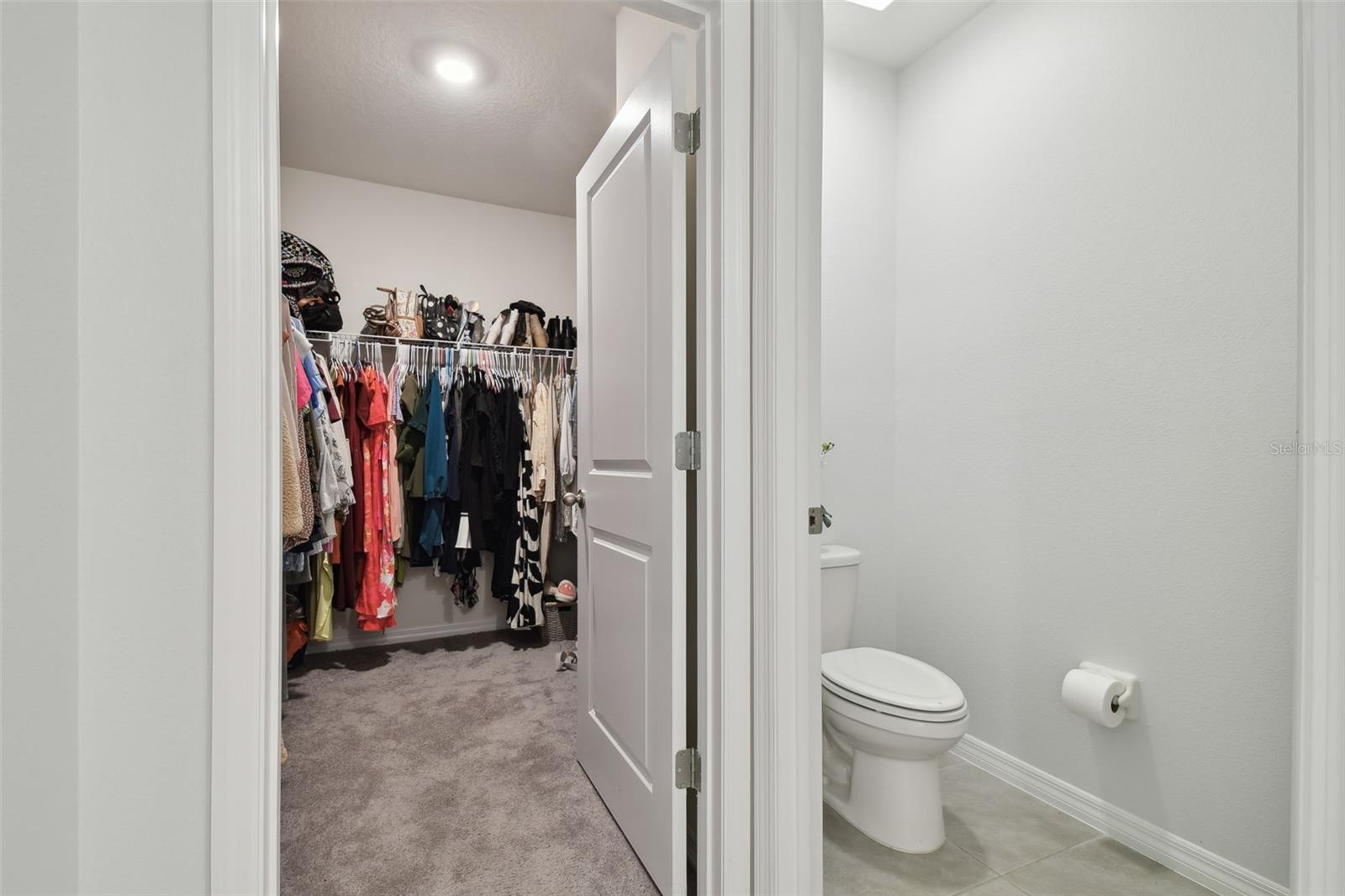 9114 FORGE BREEZE LOOP, WESLEY CHAPEL, FL, 33545