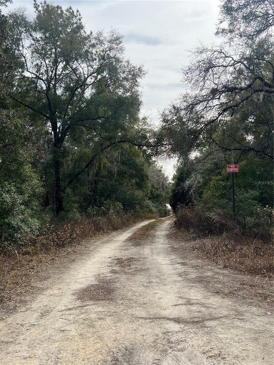 TBD Lot 2 NE 155TH COURT, WILLISTON, FL, 32696