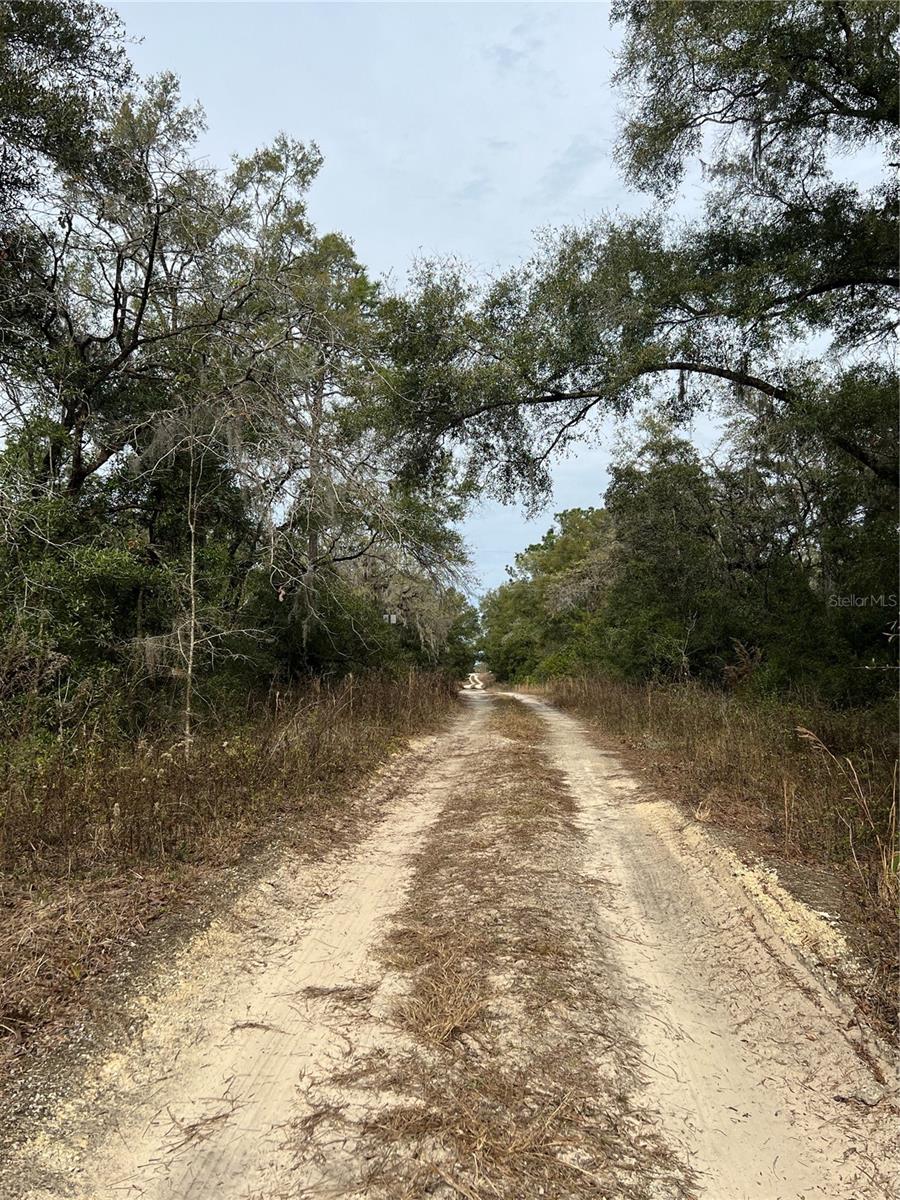 TBD Lot 2 NE 155TH COURT, WILLISTON, FL, 32696