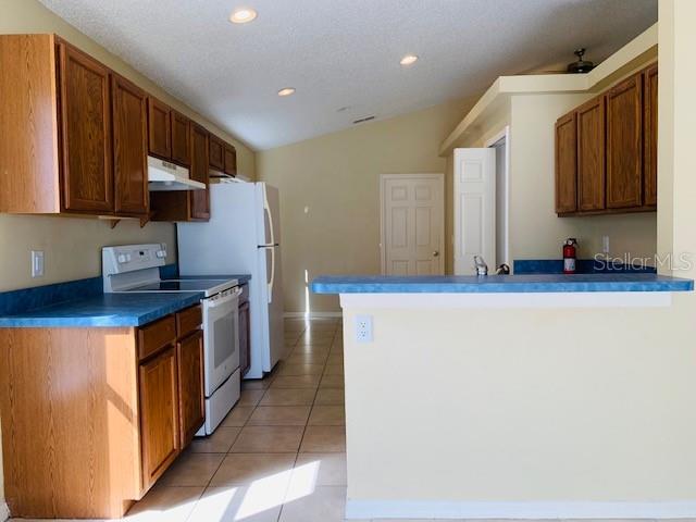 743 BRAYTON LN, DAVENPORT, FL, 33897