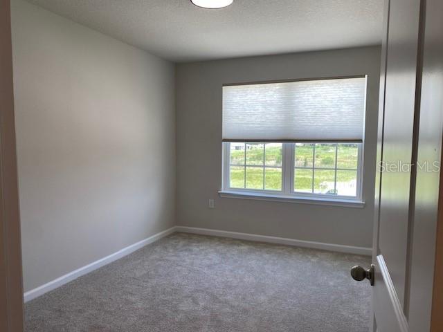 4298 HARBOUR PALM DR, HOLIDAY, FL, 34691