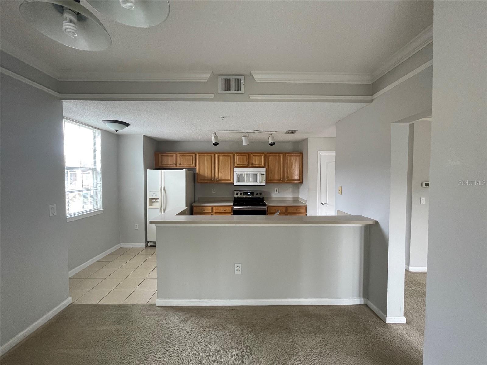 12208 WILD IRIS WAY #104, ORLANDO, FL, 32837