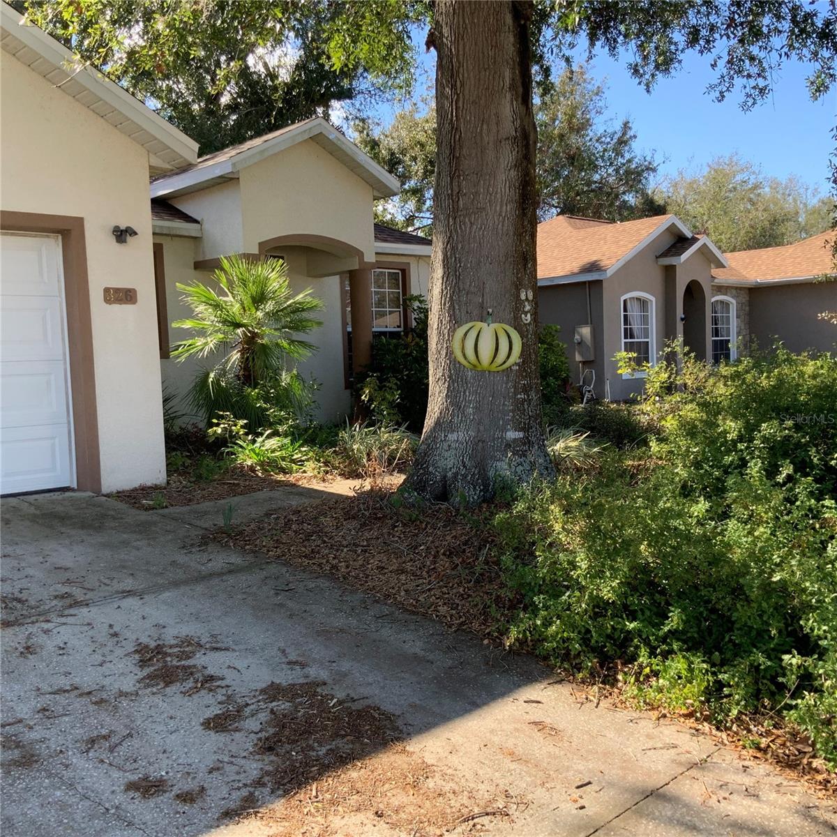 326 BLUFF PASS DR, EUSTIS, FL, 32726