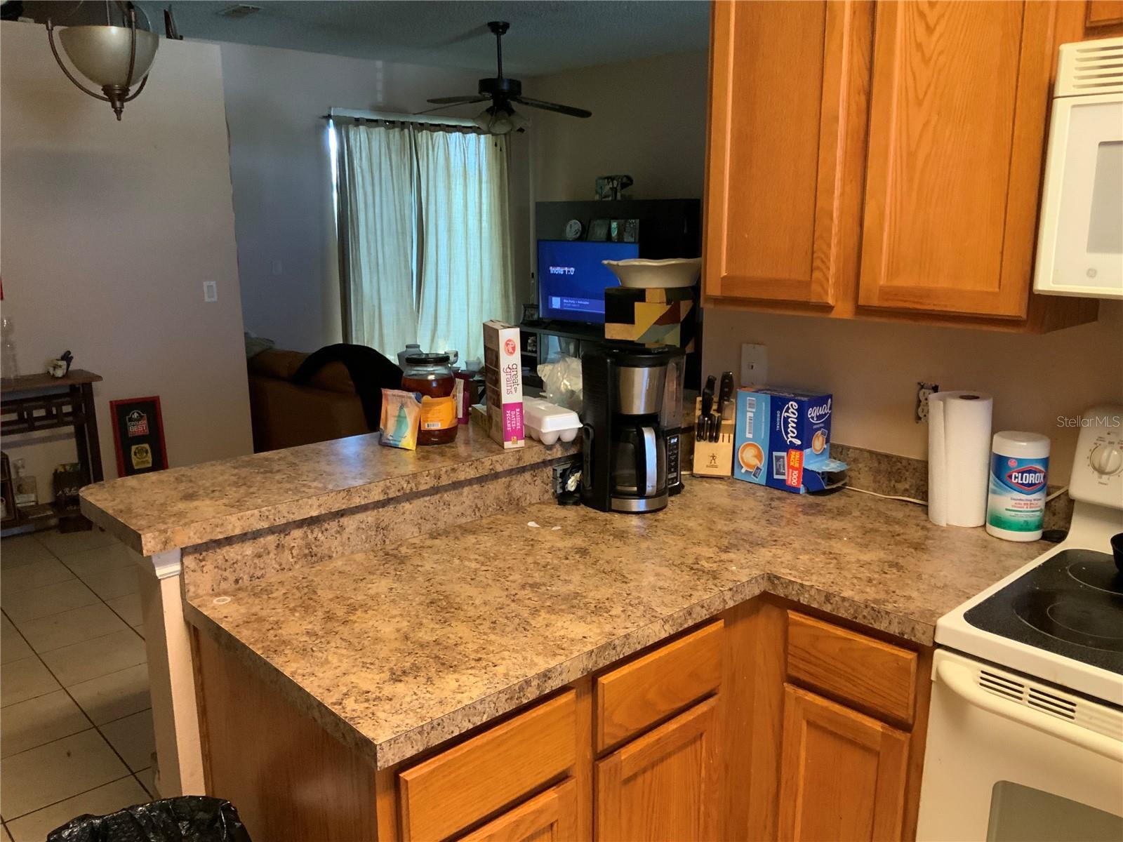 326 BLUFF PASS DR, EUSTIS, FL, 32726