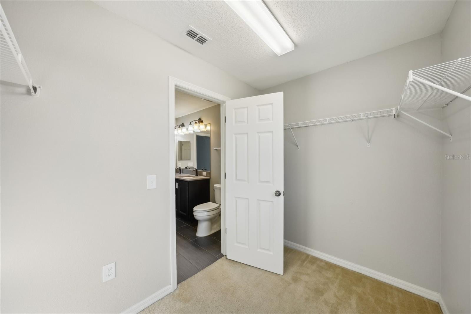 10710 SOUTHERN FOREST DR, RIVERVIEW, FL, 33578