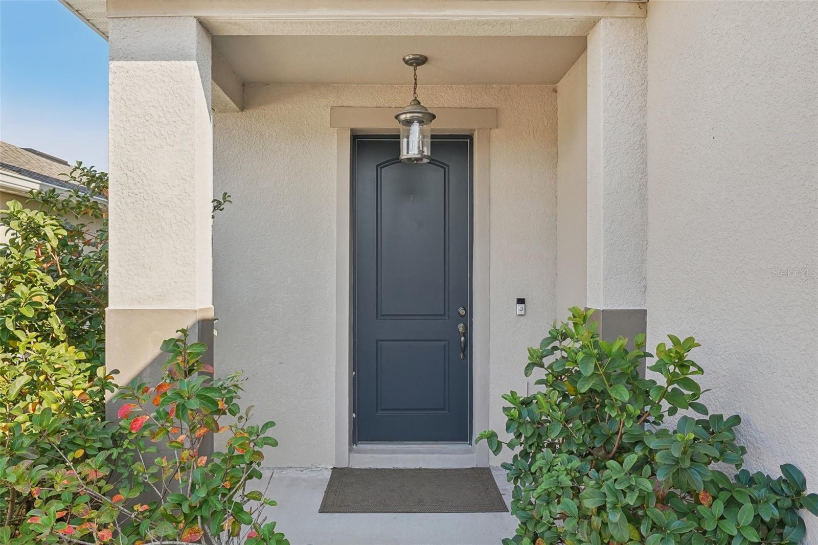 10710 SOUTHERN FOREST DR, RIVERVIEW, FL, 33578