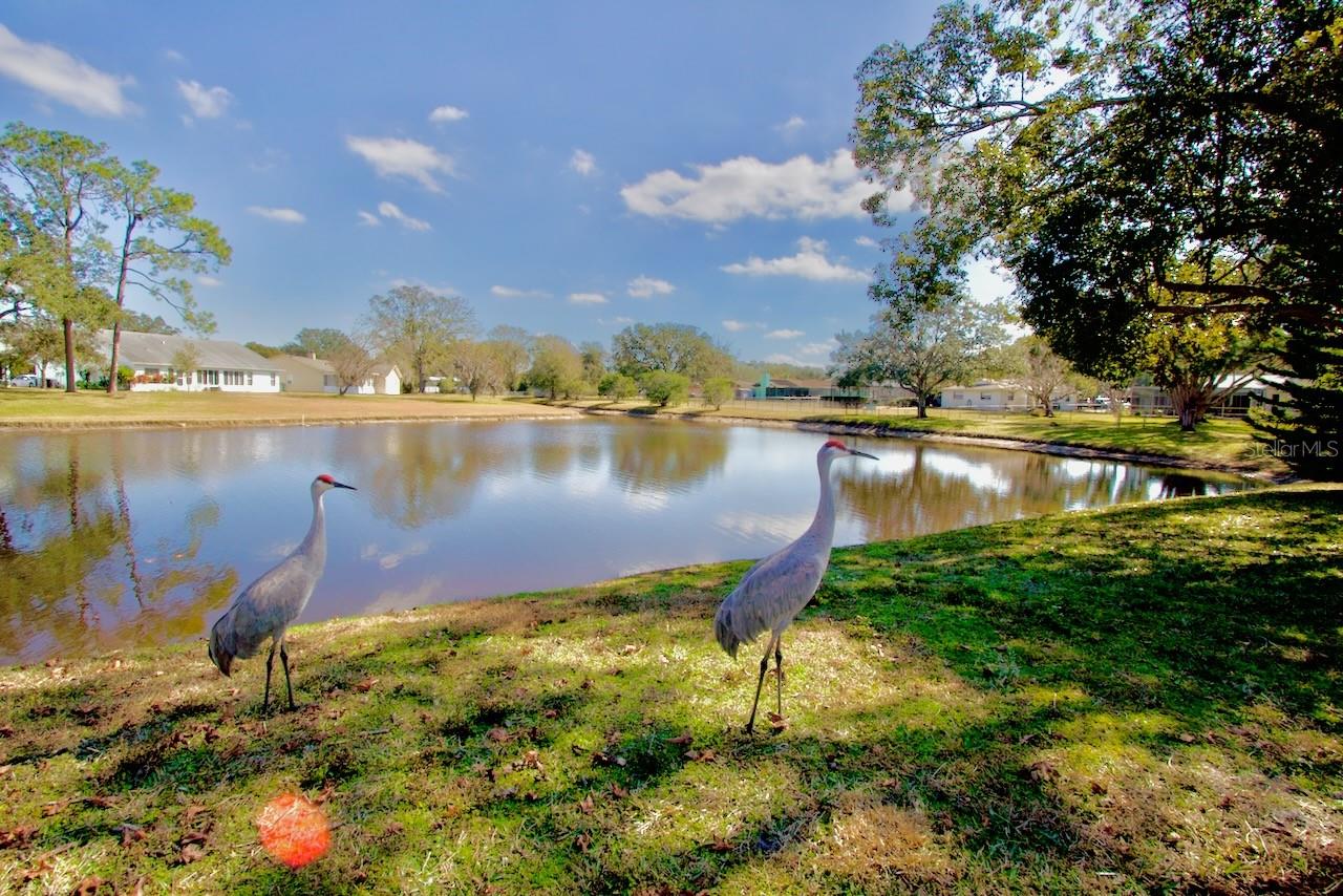 9240 TIARA CT, NEW PORT RICHEY, FL, 34655