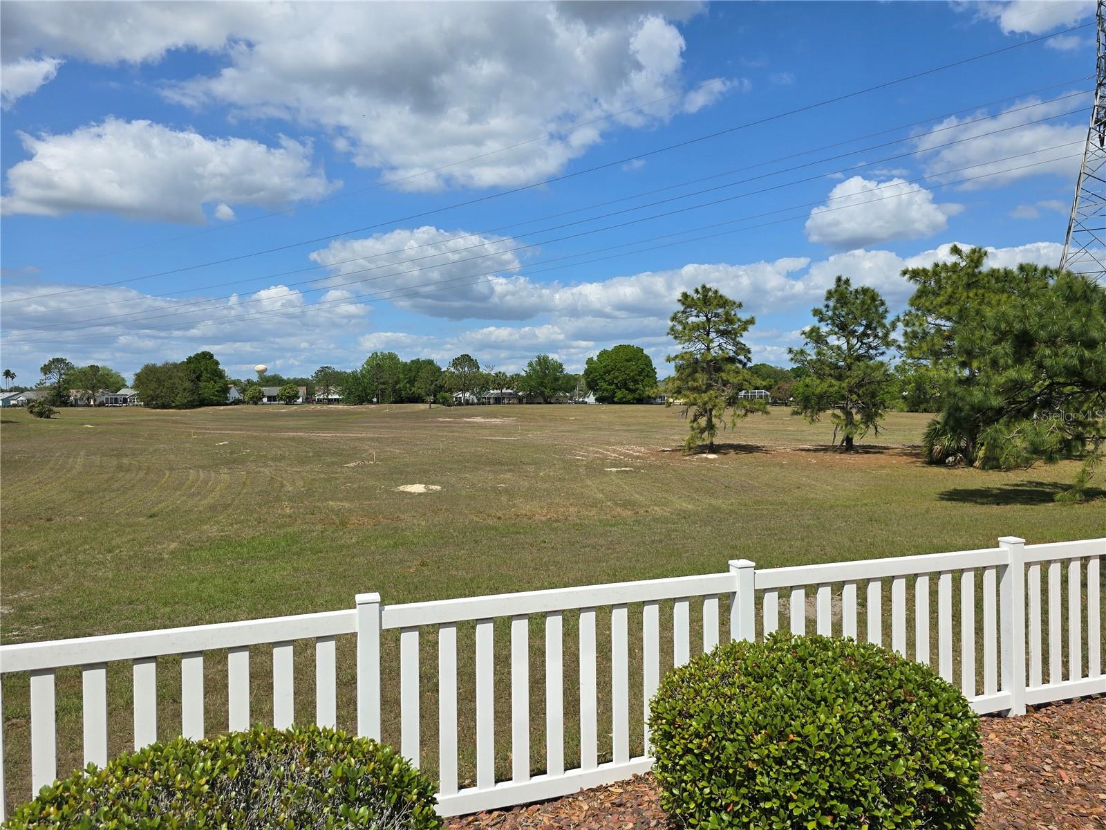 1801 MARQUEZ LOOP, LADY LAKE, FL, 32159