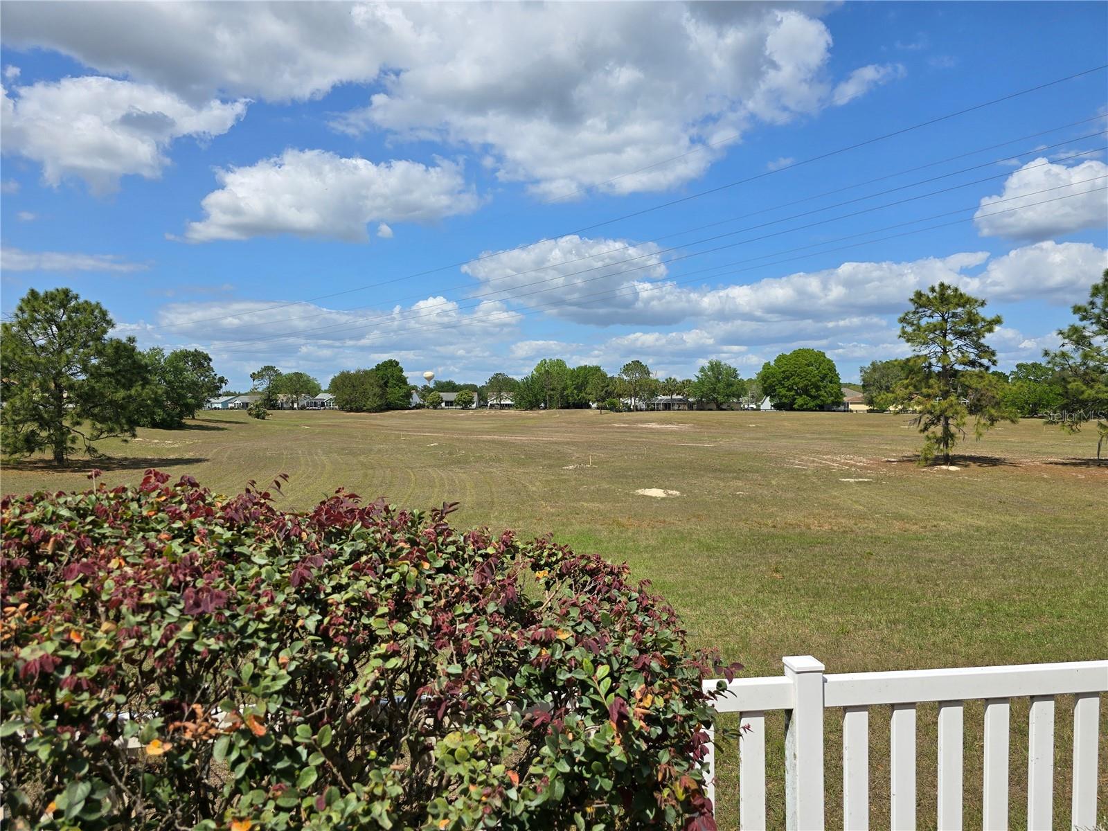 1801 MARQUEZ LOOP, LADY LAKE, FL, 32159