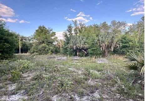 8398 W CATRINA LN, CRYSTAL RIVER, FL, 34428