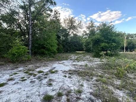 8398 W CATRINA LN, CRYSTAL RIVER, FL, 34428