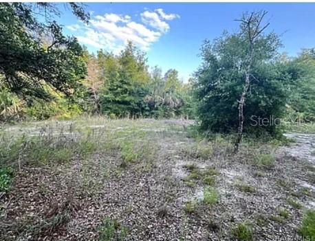 8398 W CATRINA LN, CRYSTAL RIVER, FL, 34428