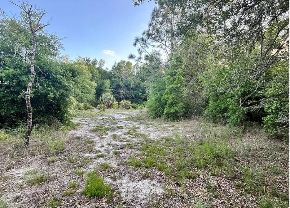 8398 W CATRINA LN, CRYSTAL RIVER, FL, 34428