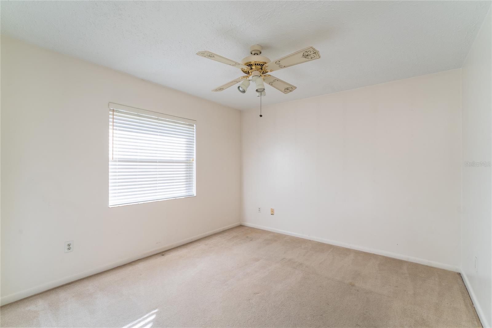 4726 WINDFLOWER CIR, TAMPA, FL, 33624