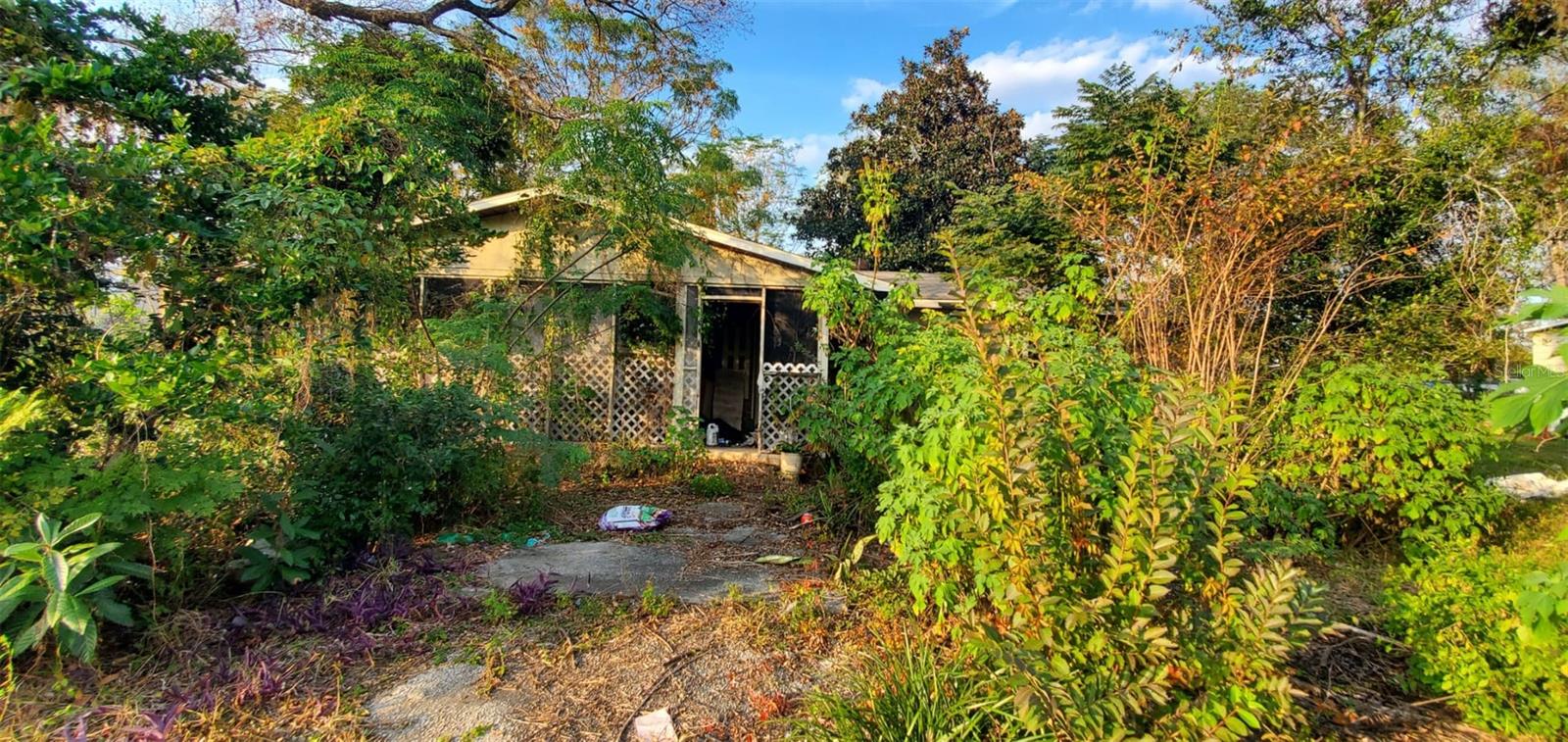 4607 OAK ST, FRUITLAND PARK, FL, 34731