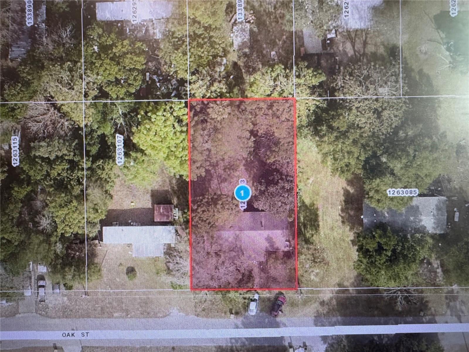 4607 OAK ST, FRUITLAND PARK, FL, 34731