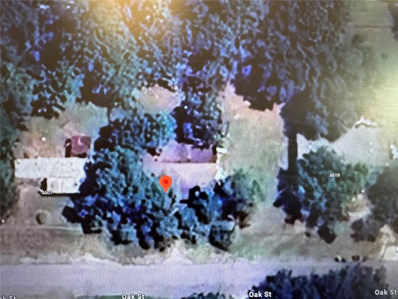 4607 OAK ST, FRUITLAND PARK, FL, 34731