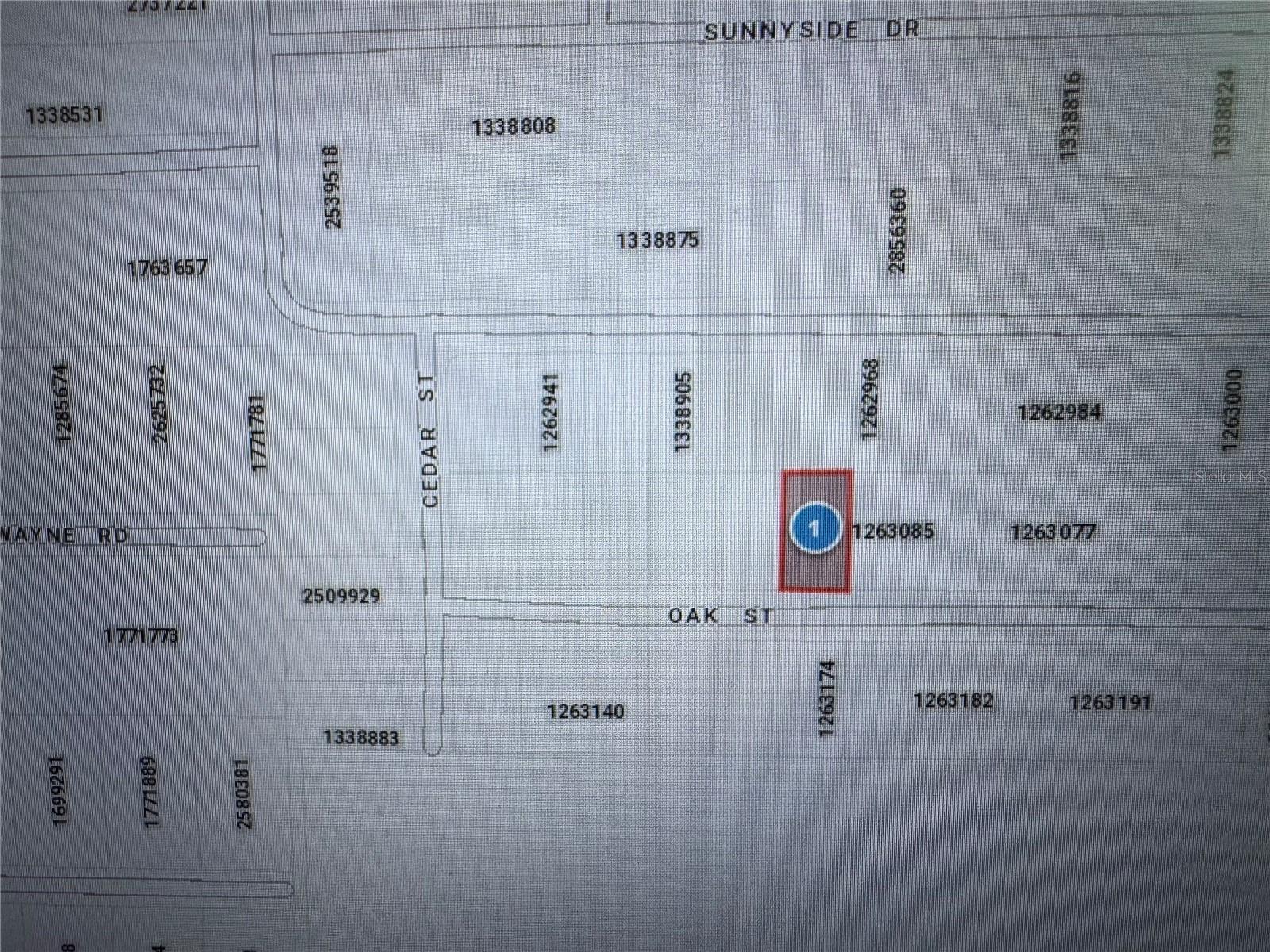 4607 OAK ST, FRUITLAND PARK, FL, 34731