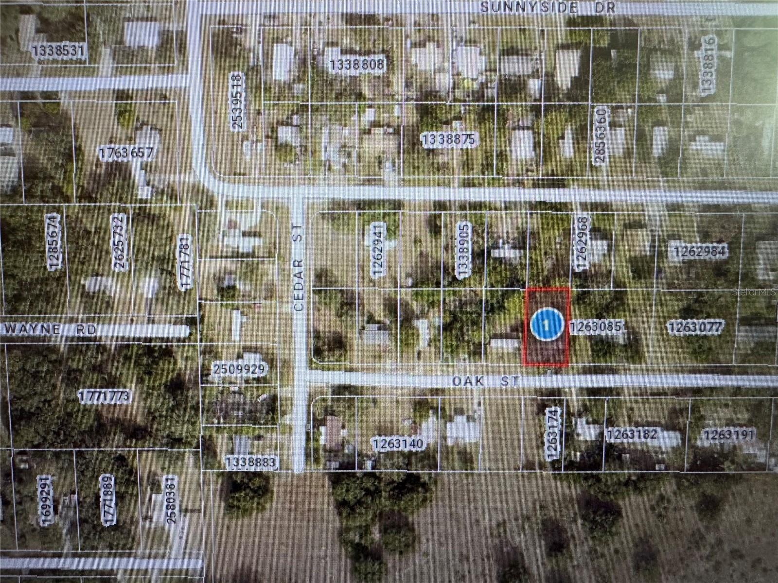 4607 OAK ST, FRUITLAND PARK, FL, 34731