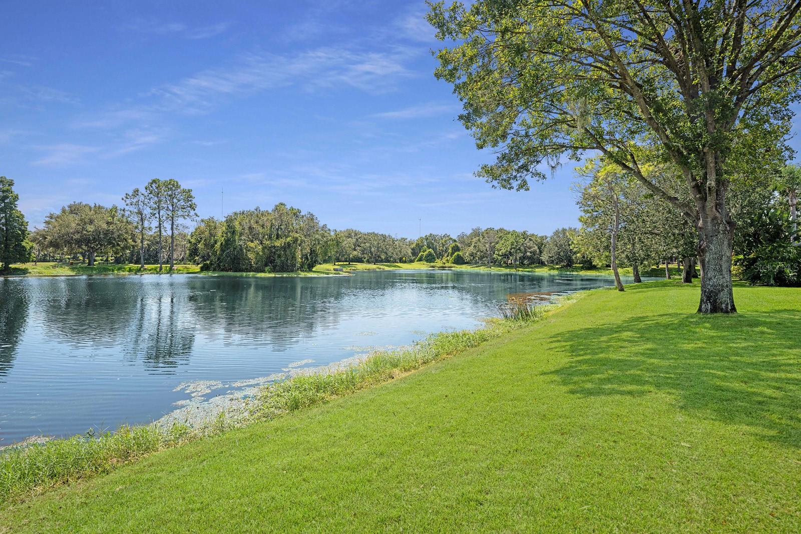 15555 MARTINMEADOW DR, LITHIA, FL, 33547