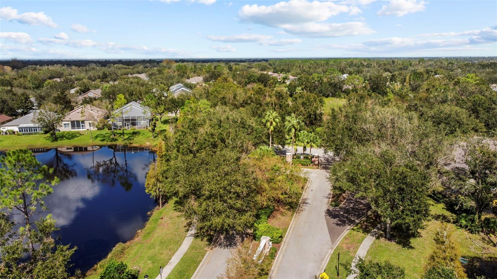 15555 MARTINMEADOW DR, LITHIA, FL, 33547