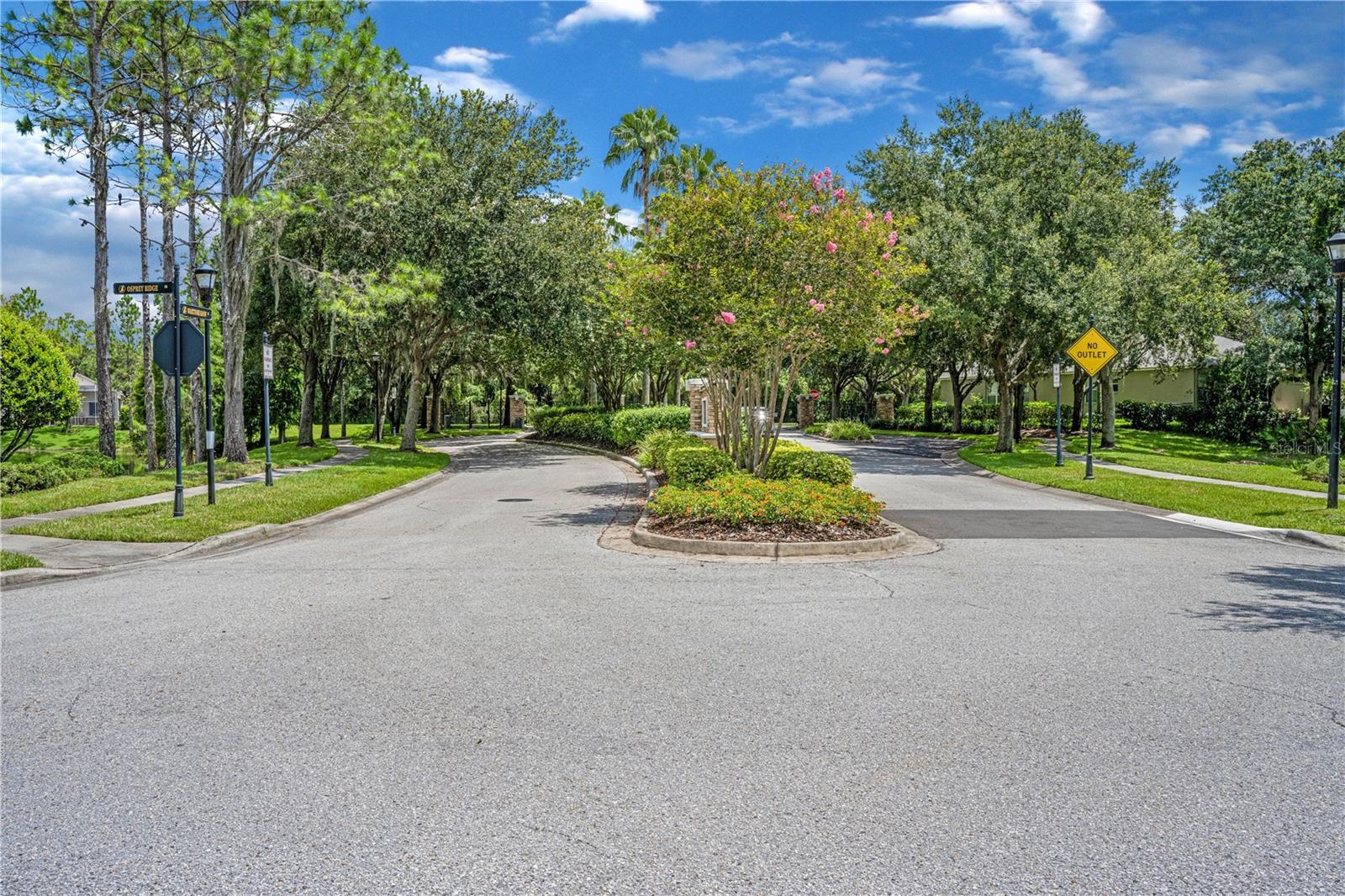 15555 MARTINMEADOW DR, LITHIA, FL, 33547