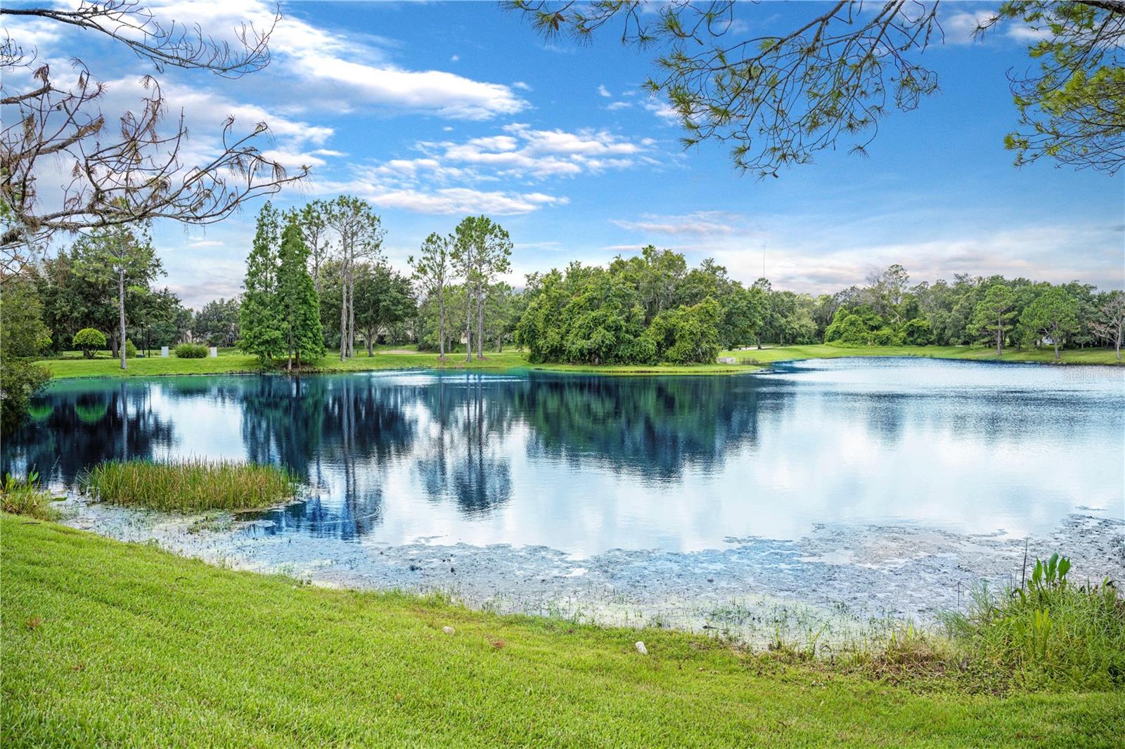 15555 MARTINMEADOW DR, LITHIA, FL, 33547