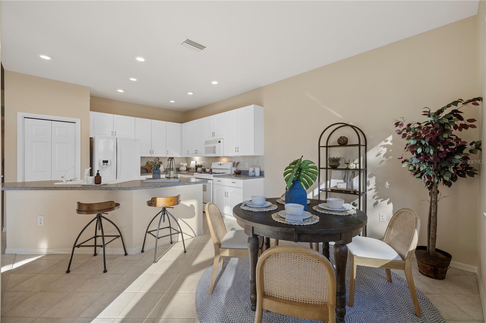 15555 MARTINMEADOW DR, LITHIA, FL, 33547