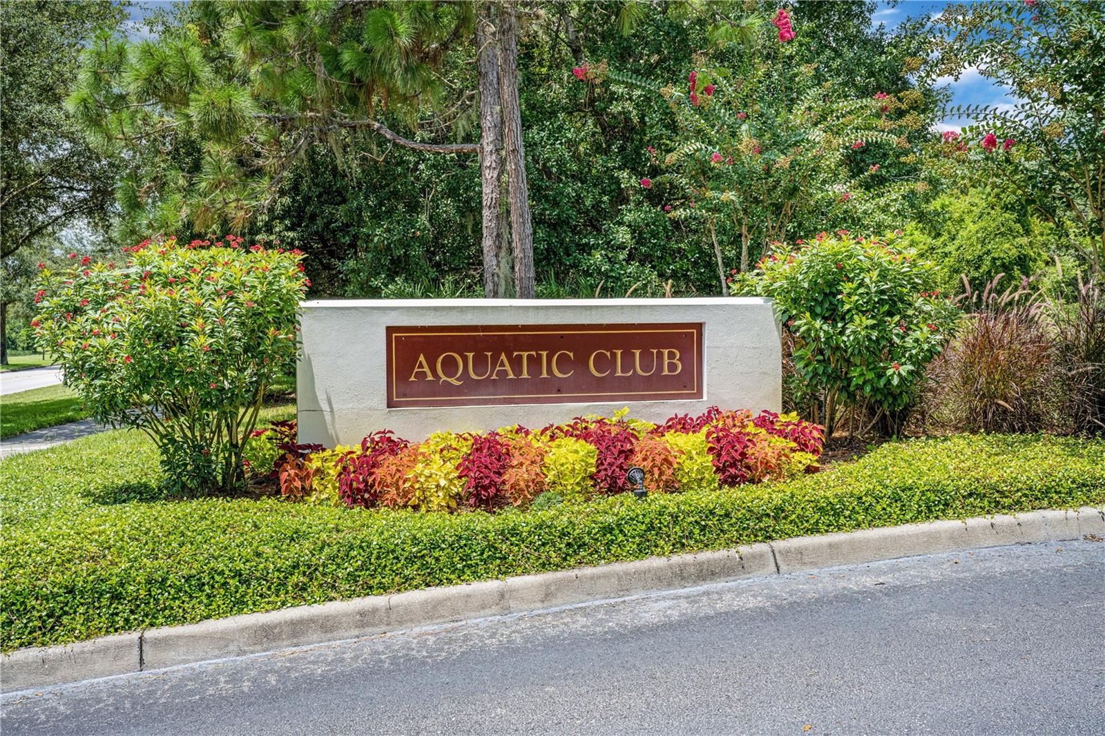 15555 MARTINMEADOW DR, LITHIA, FL, 33547